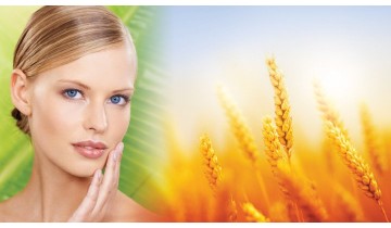 Ceramides Create Youthful Skin from Within